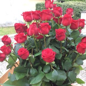 24 rose rosse