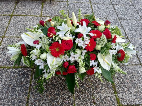 Copri-feretro bianco e rosso